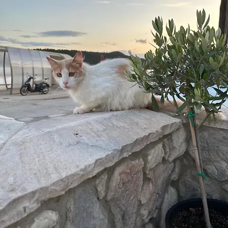 Haris * Glyfada (Phocis)