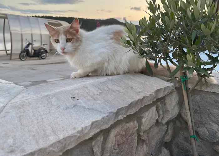 Haris * Glyfada (Phocis)